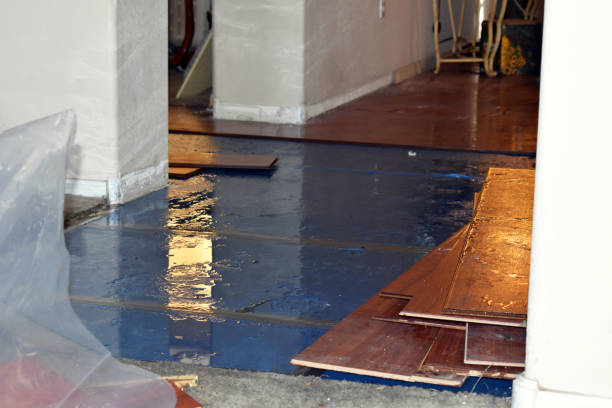 Professional Burst Pipe Cleanup technician working in Wallington, NJ