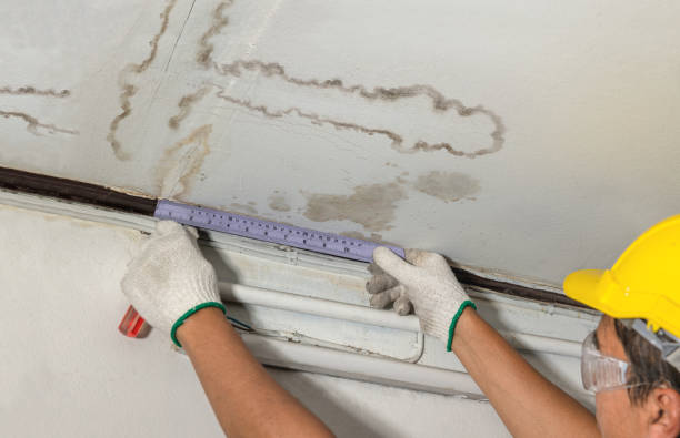 Reliable Burst Pipe Cleanup contractor in Wallington, NJ by Water Damage Irwin